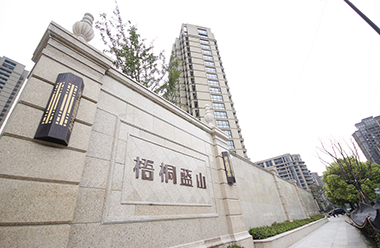 余杭區(qū)南苑街道梧桐藍(lán)山小區(qū)項目